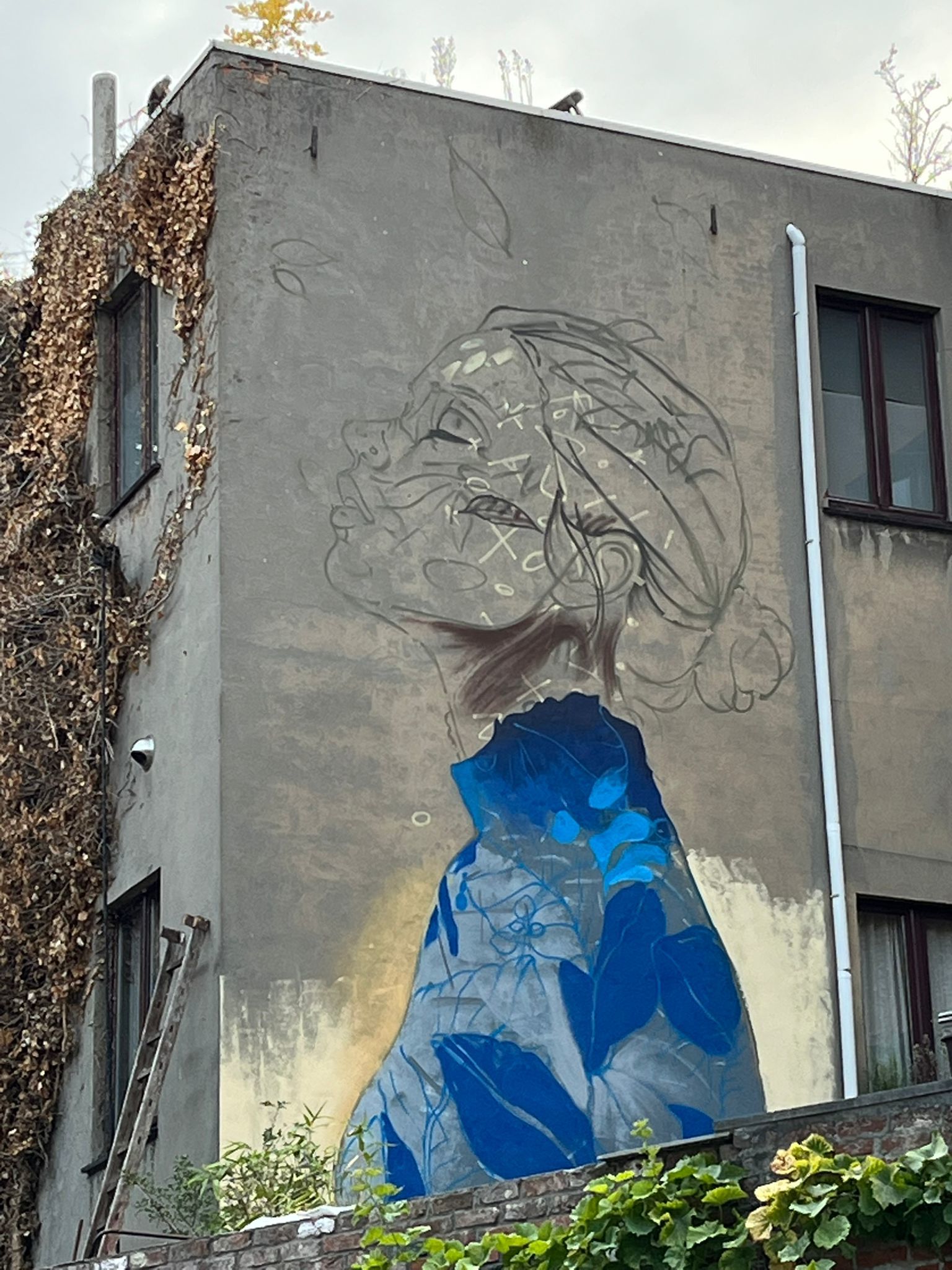 Tuzq - Van Geertstraat (Dodoenstraat 24)